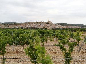 Corbera d'Ebre